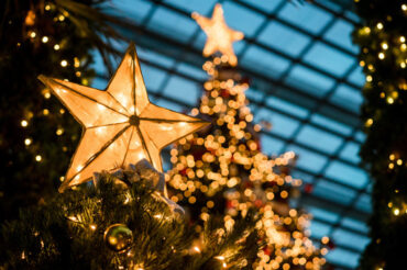 Świąteczne tradycje na świecie – podróż po świątecznych zwyczajach