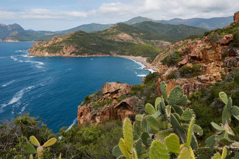 Zjawiskowa Korsyka. Oaza spokoju i raj dla miłośników natury